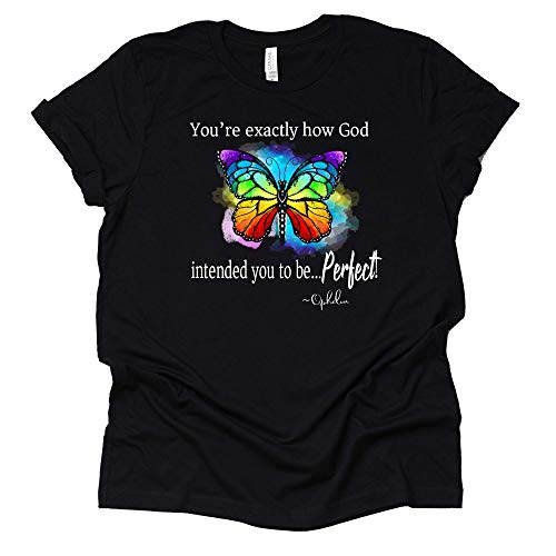 Rainbow Butterfly Perfect T-Shirt for Everyone